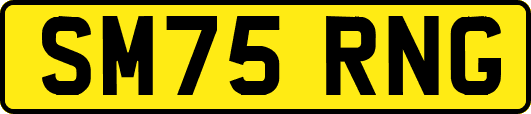 SM75RNG