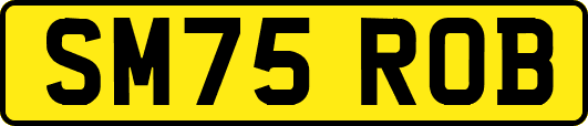 SM75ROB