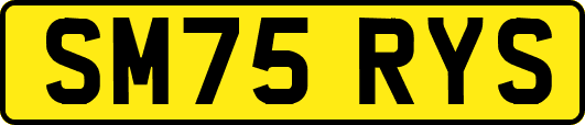 SM75RYS