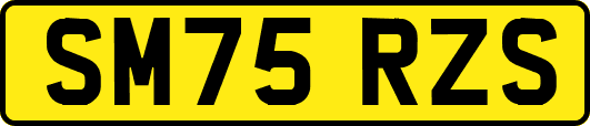 SM75RZS