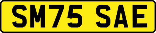SM75SAE