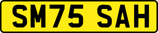 SM75SAH