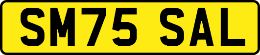 SM75SAL