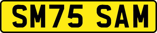 SM75SAM
