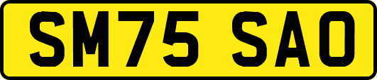 SM75SAO
