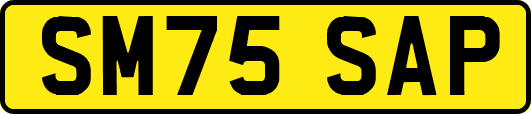 SM75SAP