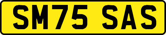 SM75SAS