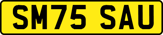 SM75SAU