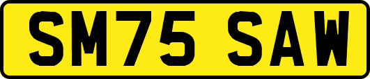 SM75SAW