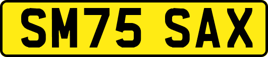 SM75SAX