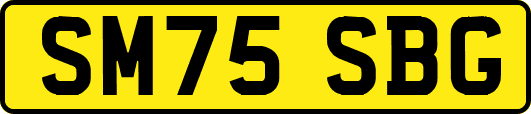 SM75SBG
