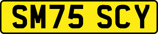 SM75SCY