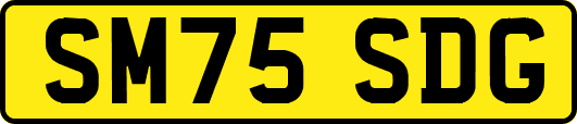 SM75SDG