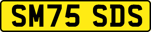 SM75SDS