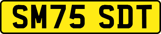 SM75SDT