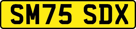 SM75SDX