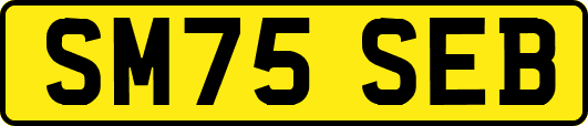 SM75SEB