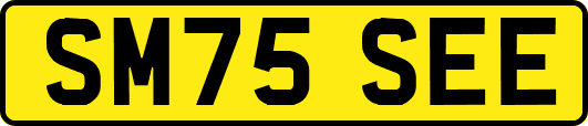 SM75SEE