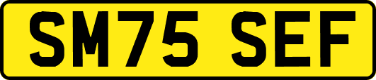 SM75SEF