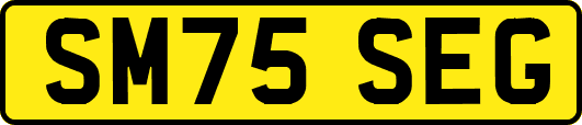 SM75SEG