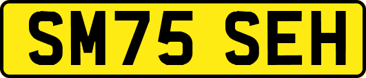 SM75SEH