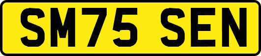 SM75SEN