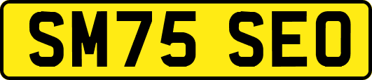 SM75SEO