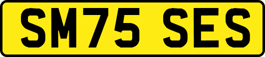 SM75SES