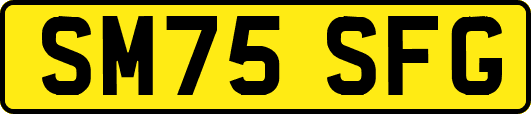 SM75SFG