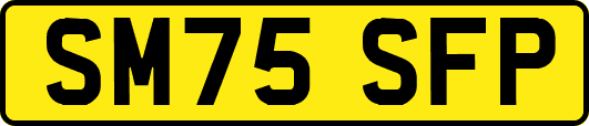 SM75SFP