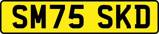 SM75SKD