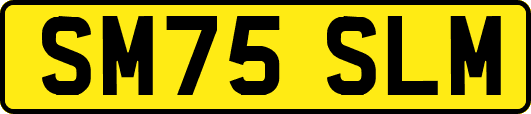 SM75SLM
