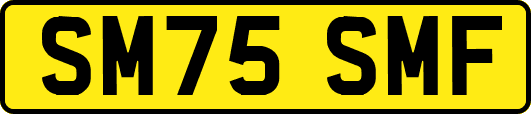 SM75SMF