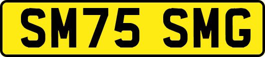 SM75SMG