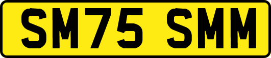 SM75SMM