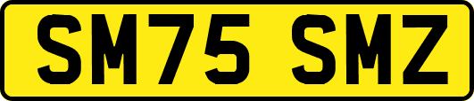 SM75SMZ