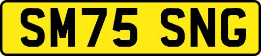 SM75SNG
