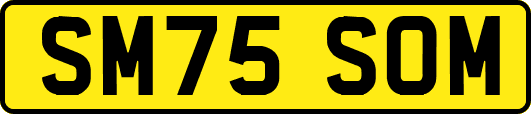 SM75SOM