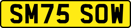 SM75SOW