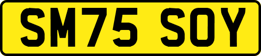 SM75SOY