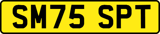 SM75SPT