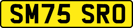 SM75SRO