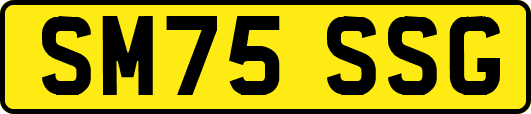 SM75SSG