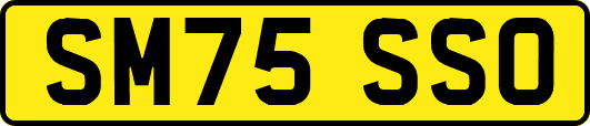 SM75SSO