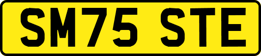 SM75STE