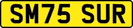 SM75SUR