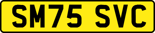 SM75SVC