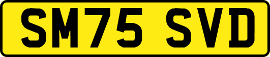 SM75SVD
