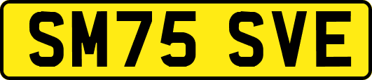 SM75SVE