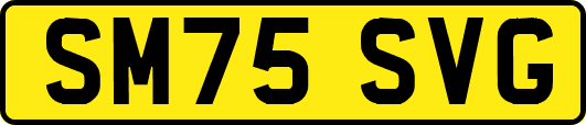 SM75SVG